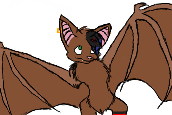 Echo for Bat :3