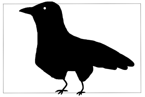 chonky crow