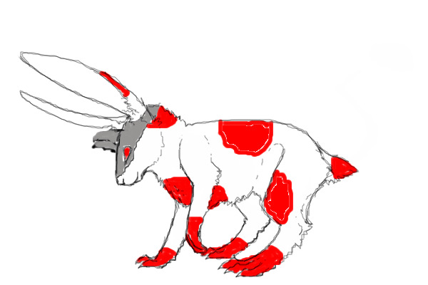 bunny