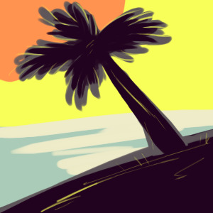 palm tree shadow