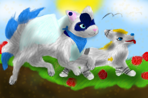 contest entry
