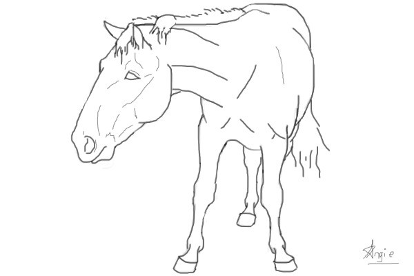 Lewie my Inspration