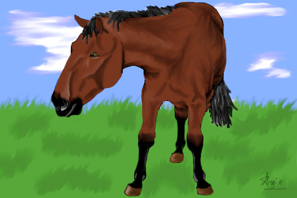 Lewie... in the pasture