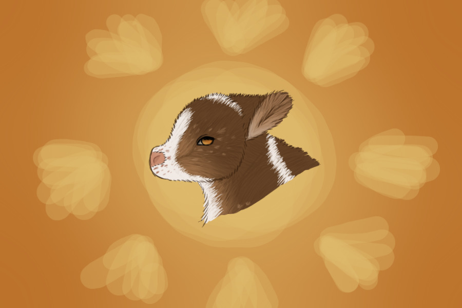 half-hearted fur rendering and sad background