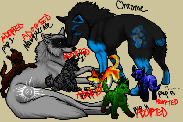 Chrome and Masquerade's pups