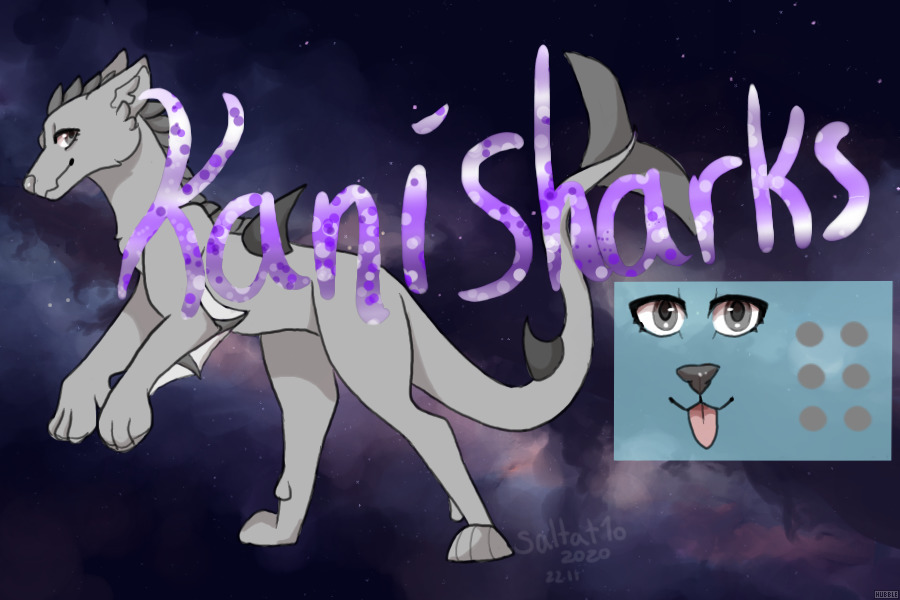 Kanisharks  -open for marking- (looking for artists)