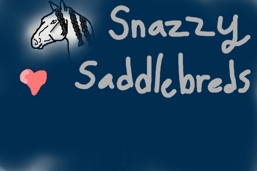 Snazzy Saddlebreds