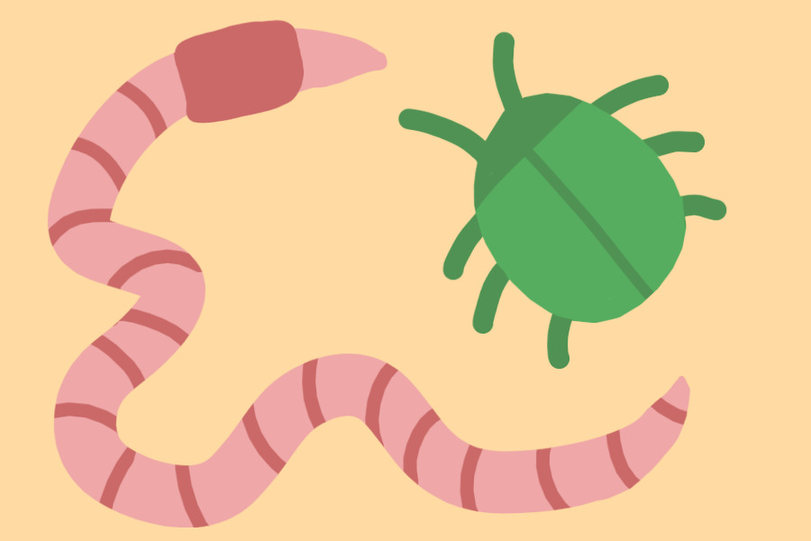 worm and bug