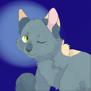 new wolfwhisper avatar
