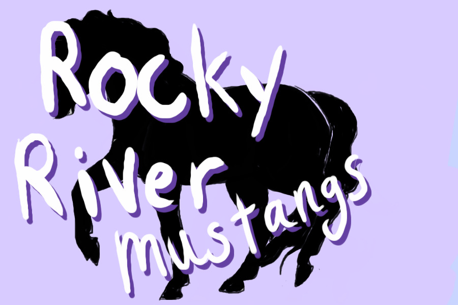 Rocky River Mustangs