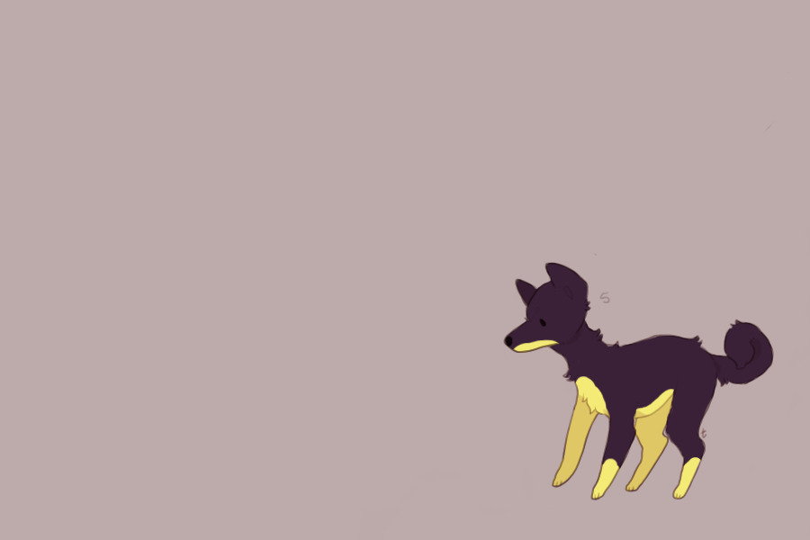 Adopt From Shadow17