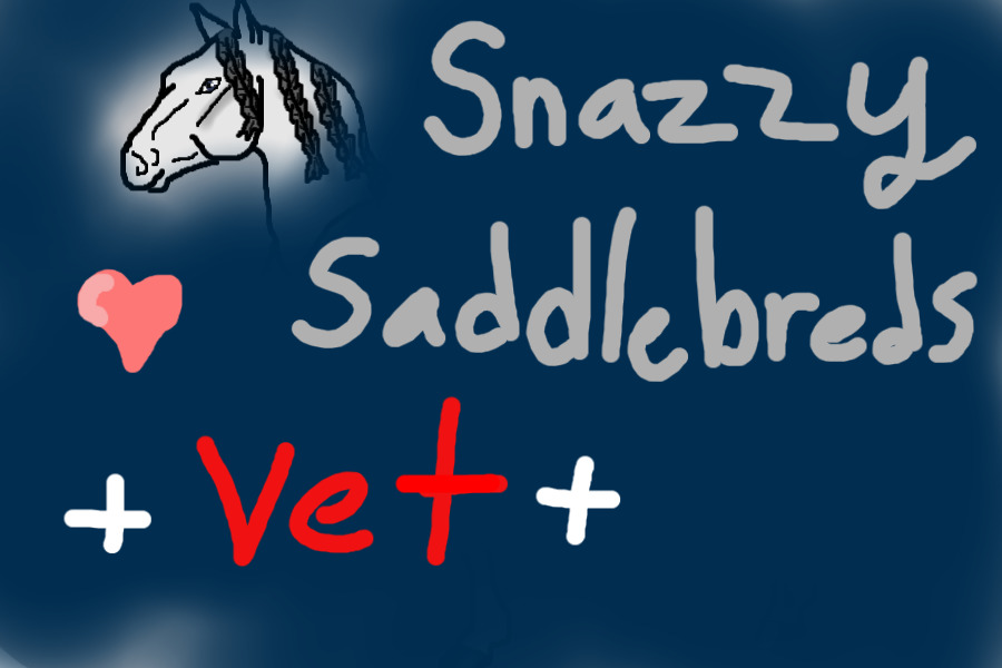 Snazzy Saddlebreds Vet