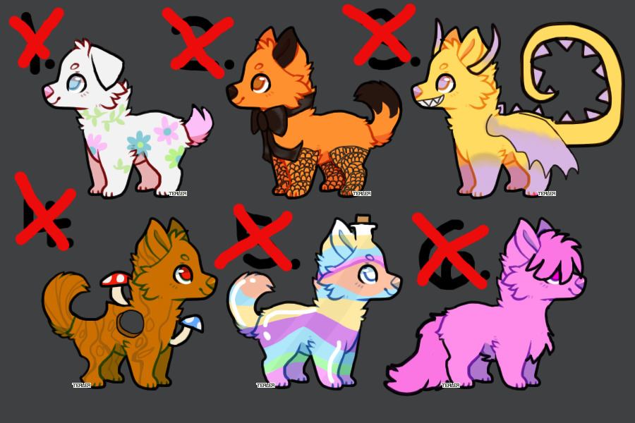 Adoptables for C$ (Closed)