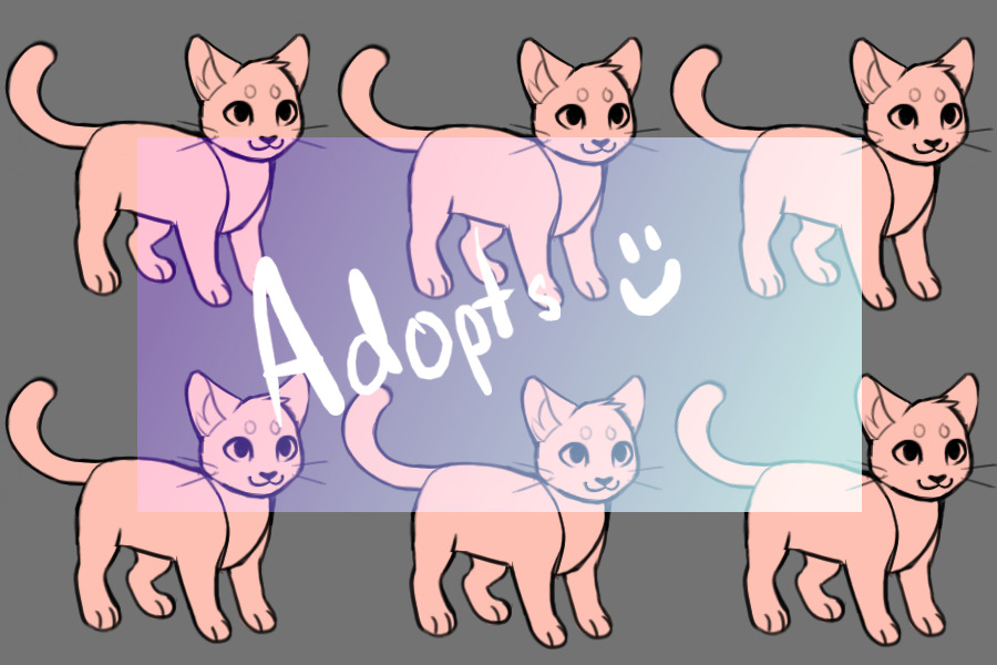 Diamond’s Cat Adopts