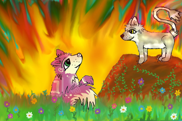 Magic,fire sunset and Neytiri and Alex.