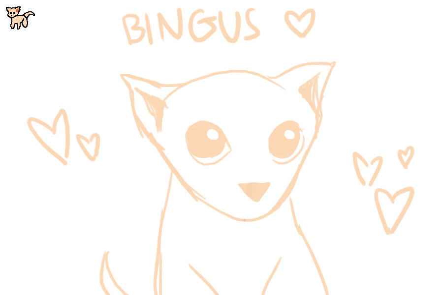bingus my beloved