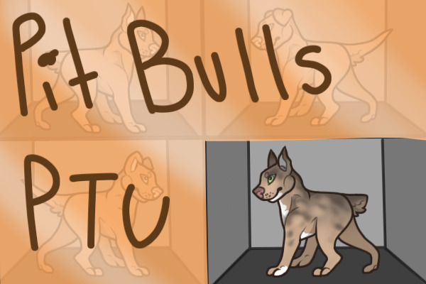 Bean's PTU Lines: Pit bulls