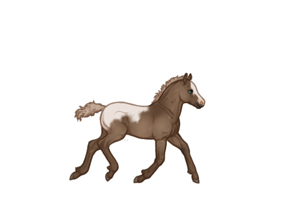 foal version