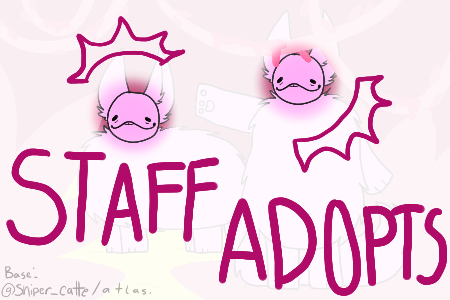 Fluffy Bois: Staff Adopts