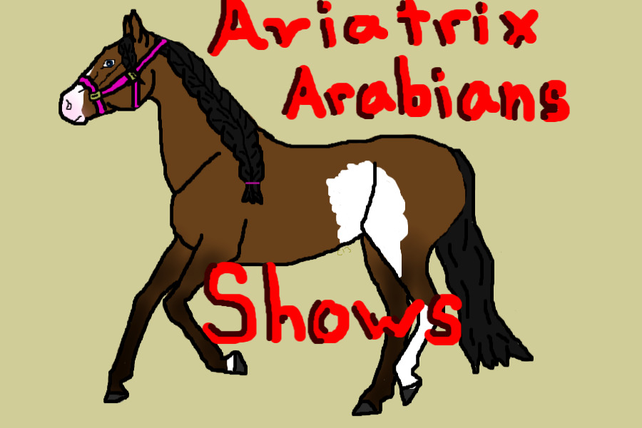 Aviatrix Arabians Shows