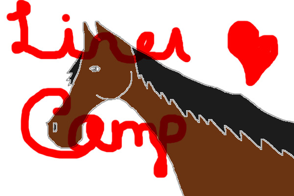 Equine Lines Competition