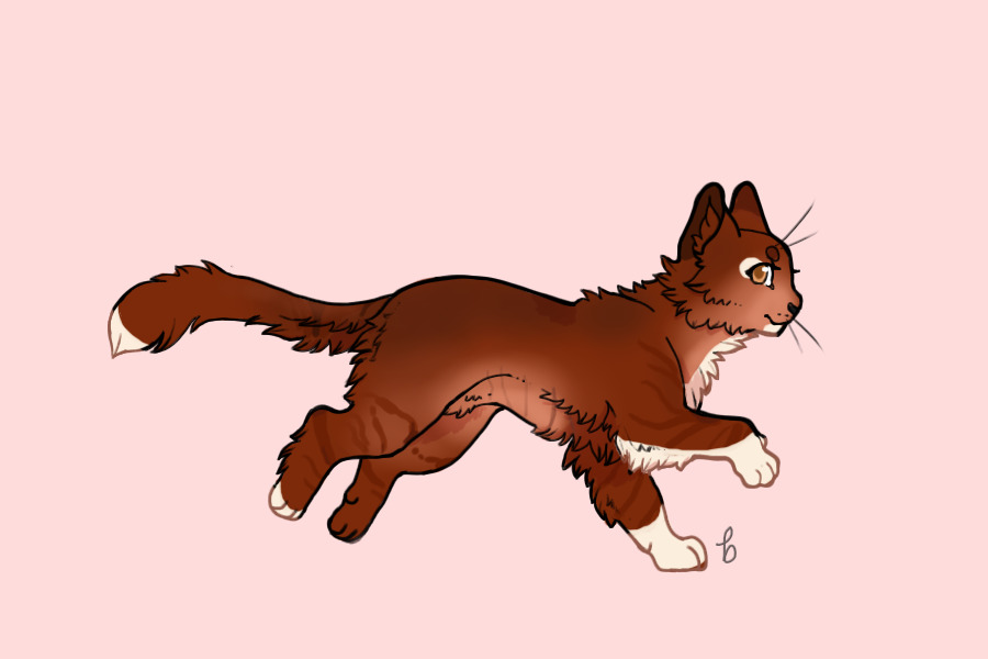 Breeding #063 | kit 1 | growth 1