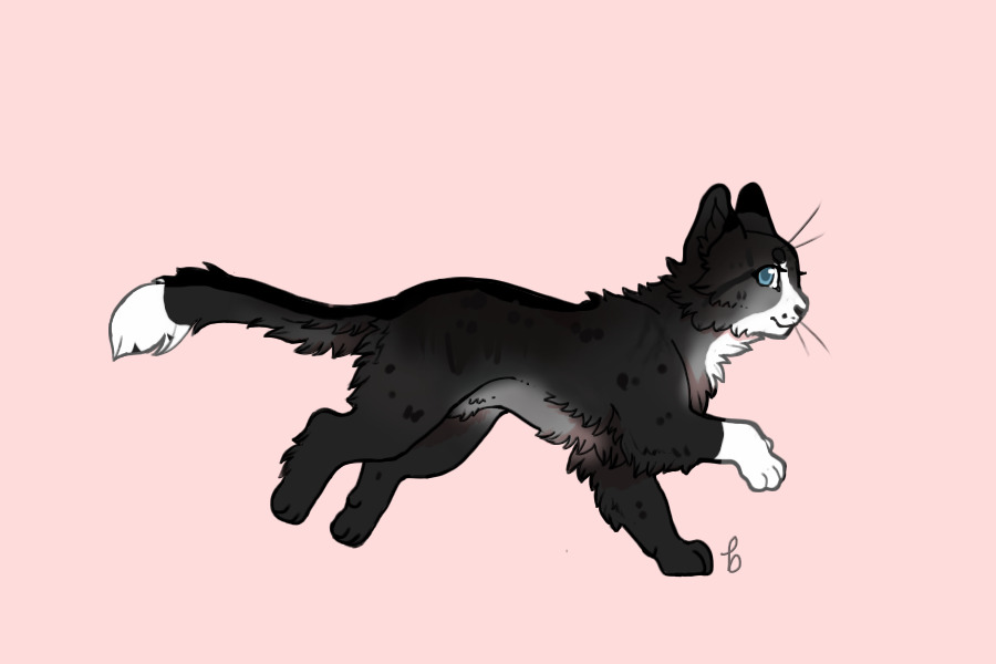 Breeding #063 | kit 2 | growth 1