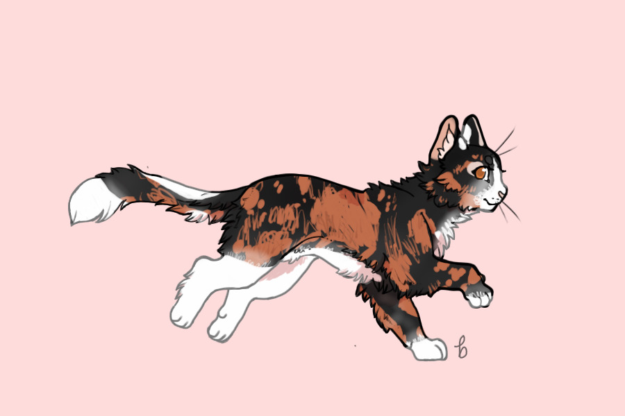 Breeding #063 | kit 3 | growth 1