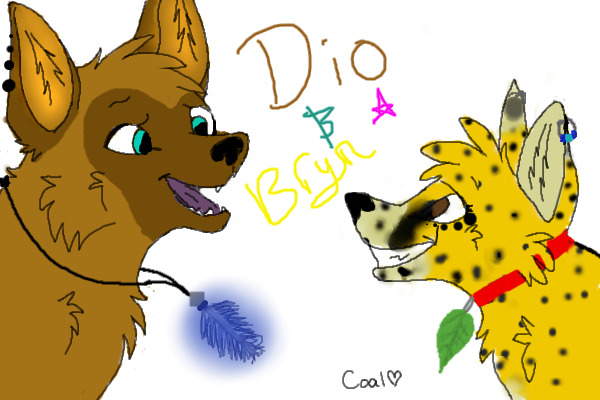 Bronwyn's Bryn&Dio