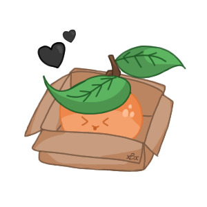 orange in a box