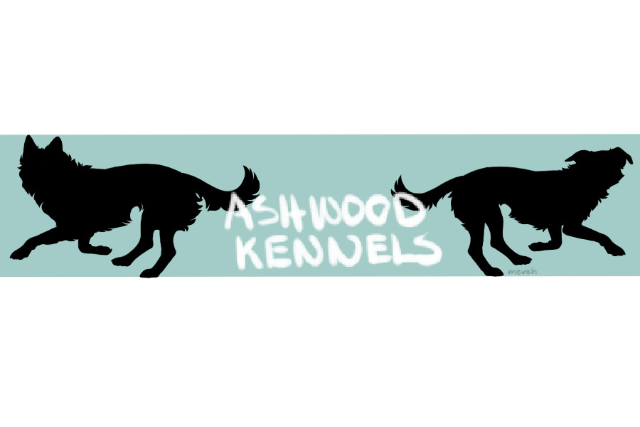 Ashwood Kennels | Open