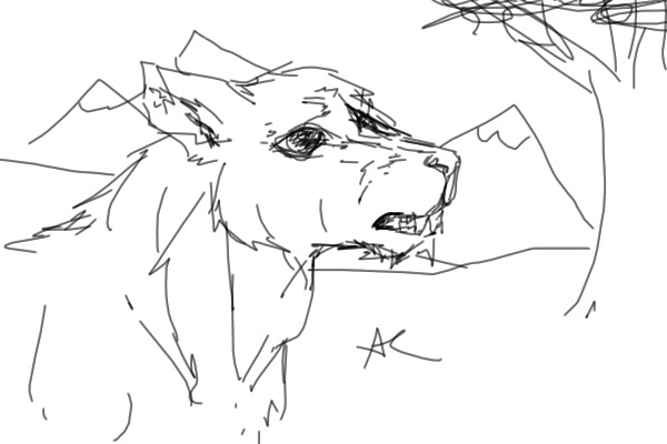 doggo