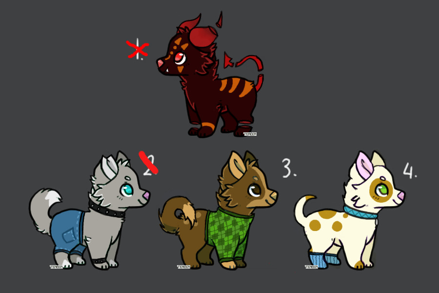 🐾 Dog Adopts 🐾