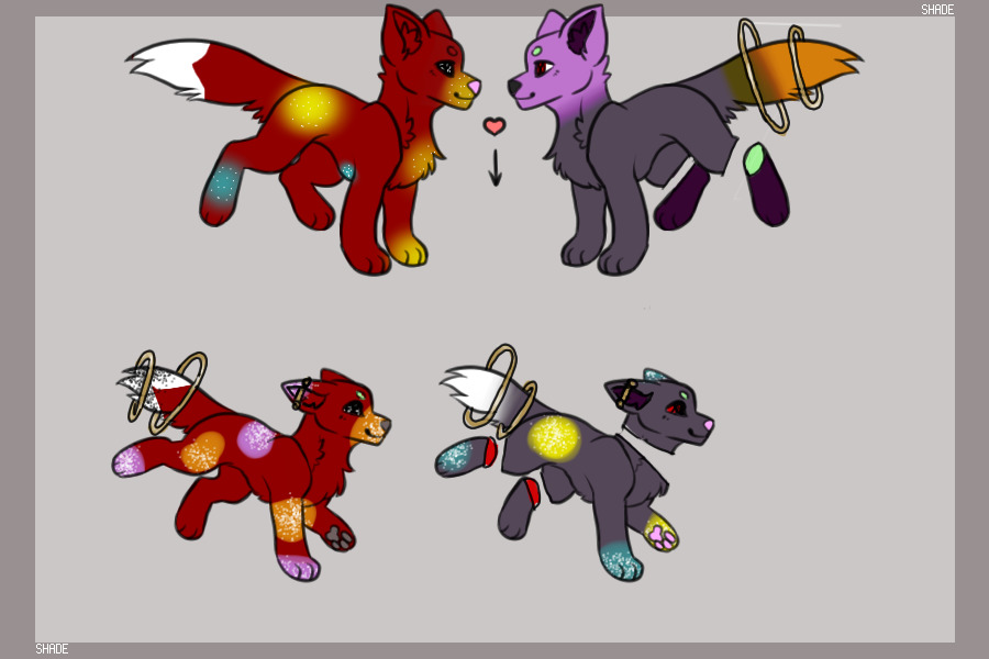 Pups for |Stardust|