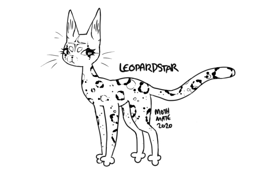 Leopardstar / Unfinished