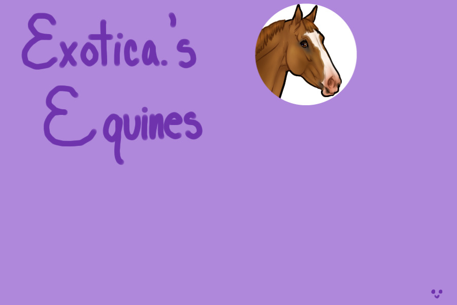 Exotica.'s Equines