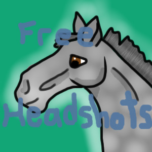 Free Equine Headshots