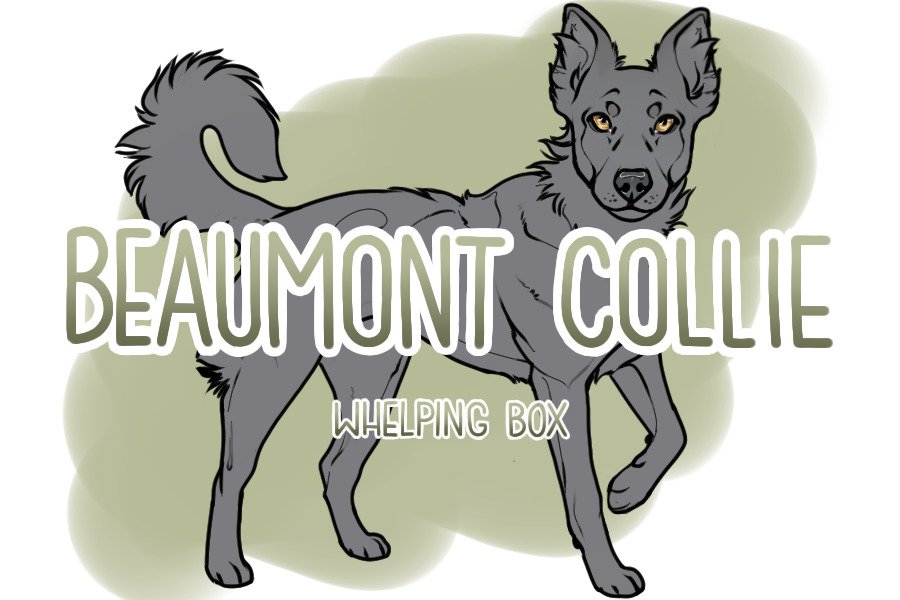 Beaumont Collie Whelping Box V.2