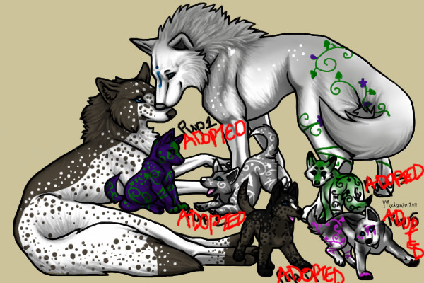 New family