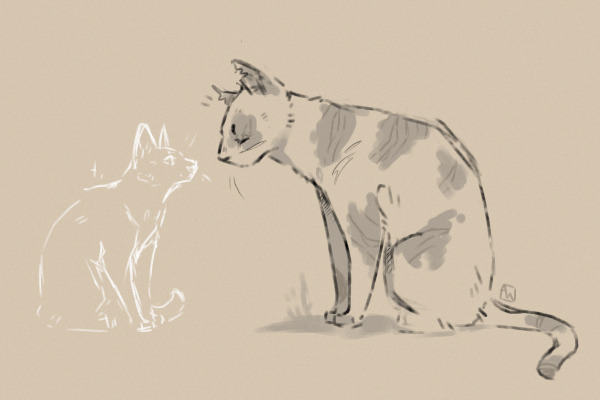 brightheart and swiftpaw