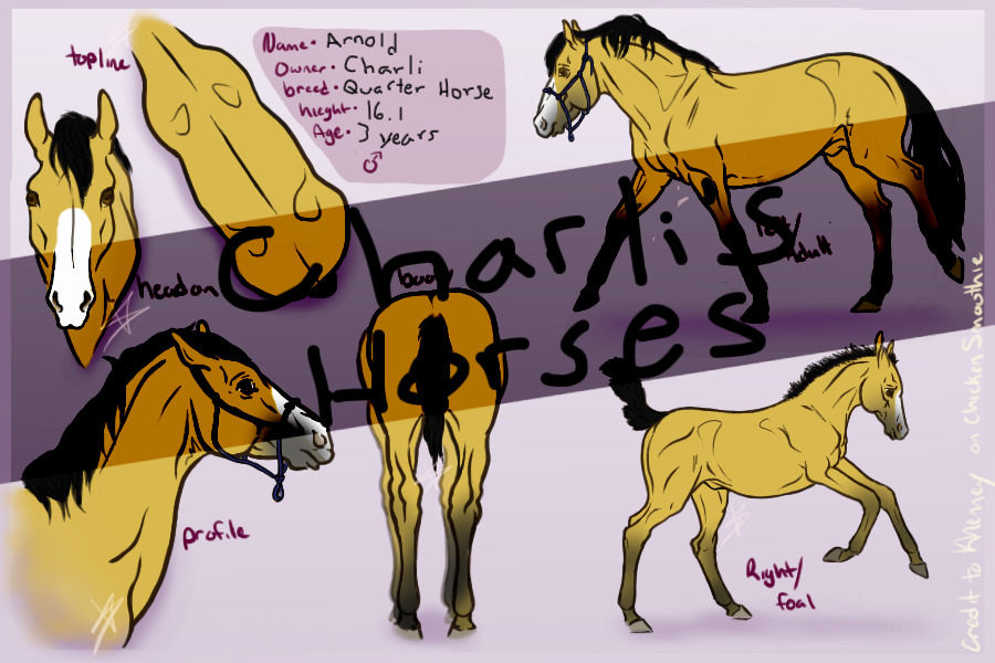 Charli's Horses