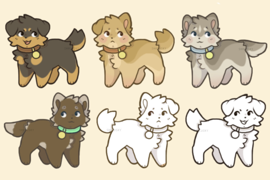 soon to be adopts