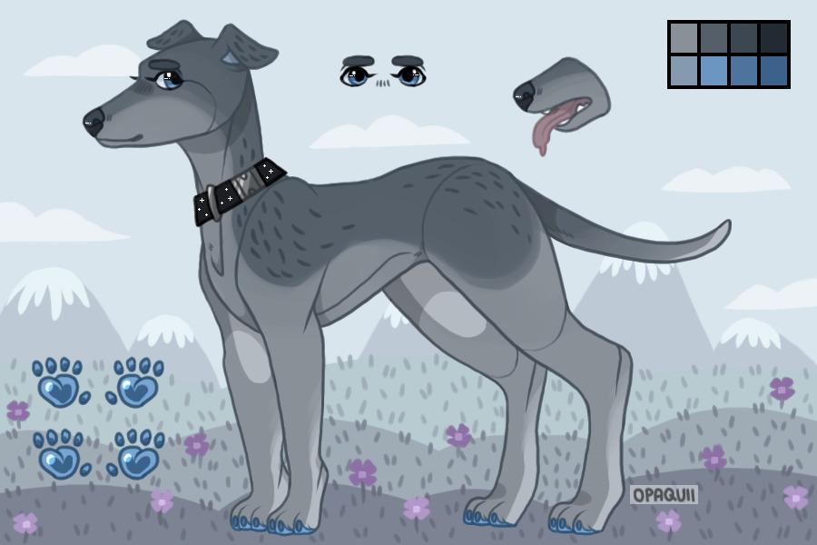 Rainer Greyhound #001