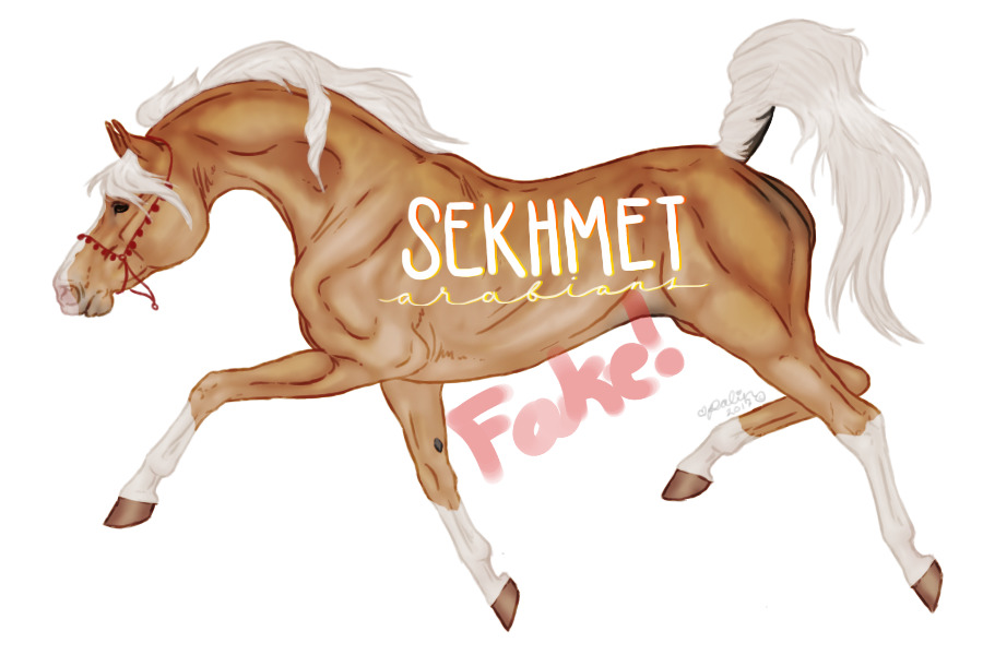 Sekhmet Arabians Artist Search