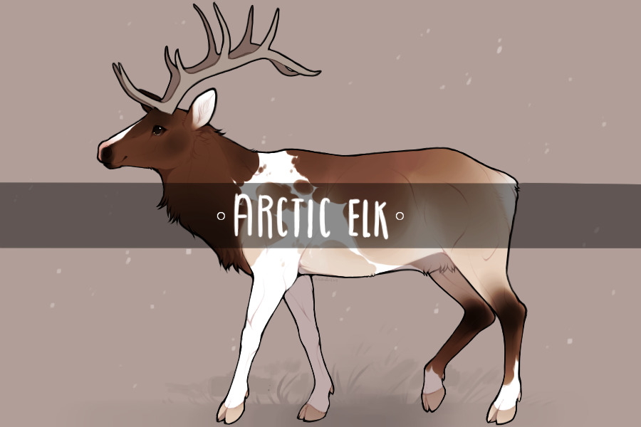 Arctic Elks