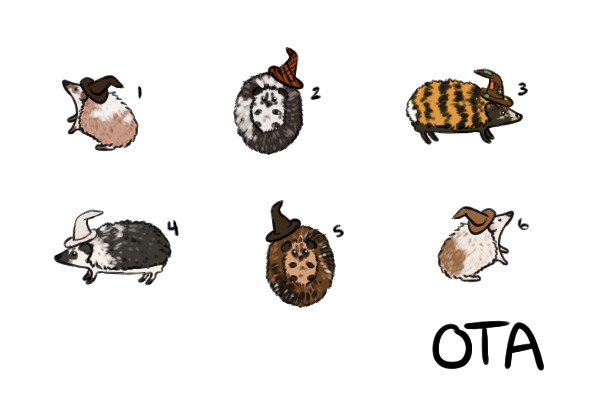 Hedgies