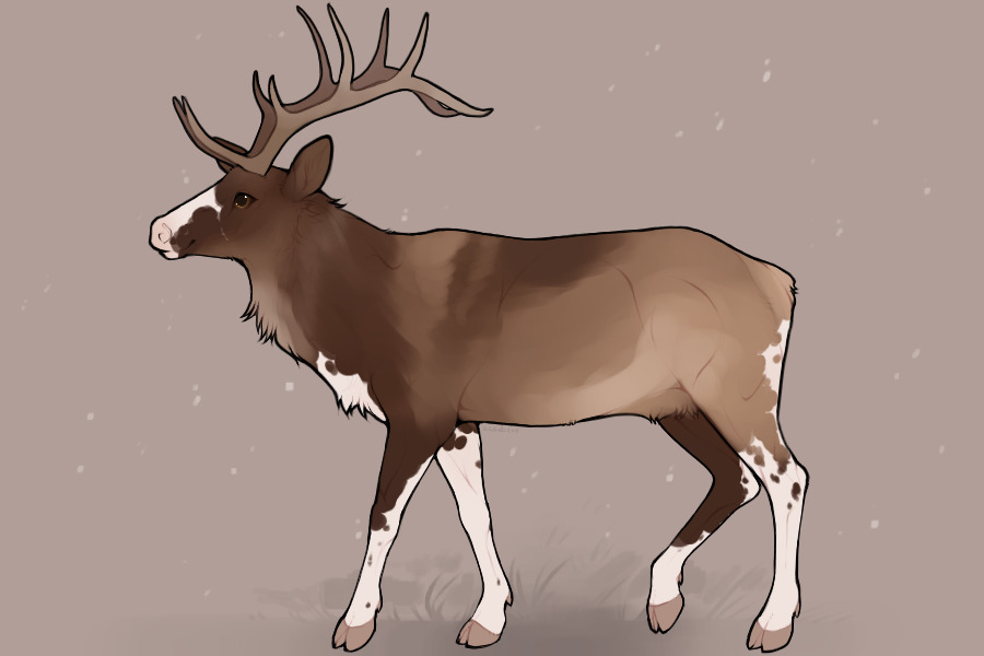 Arctic Elks Entry 1