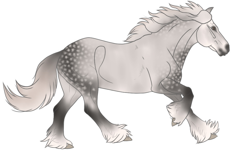Dappled Pony