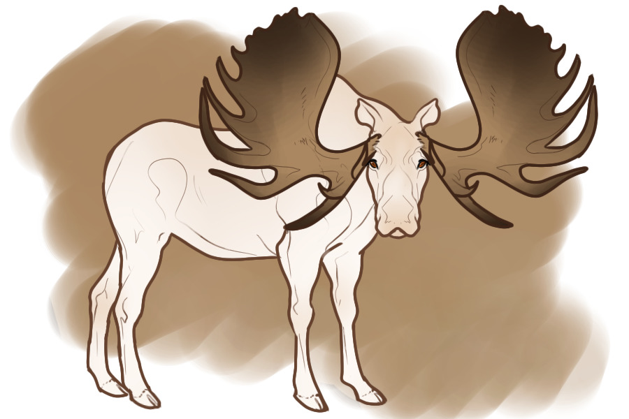 Colossal Moose