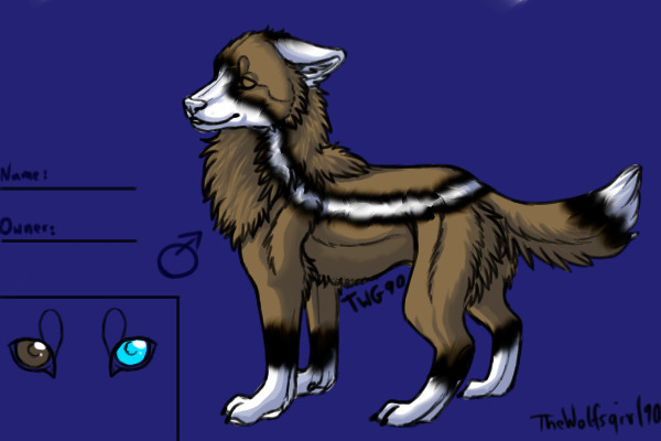 New Character